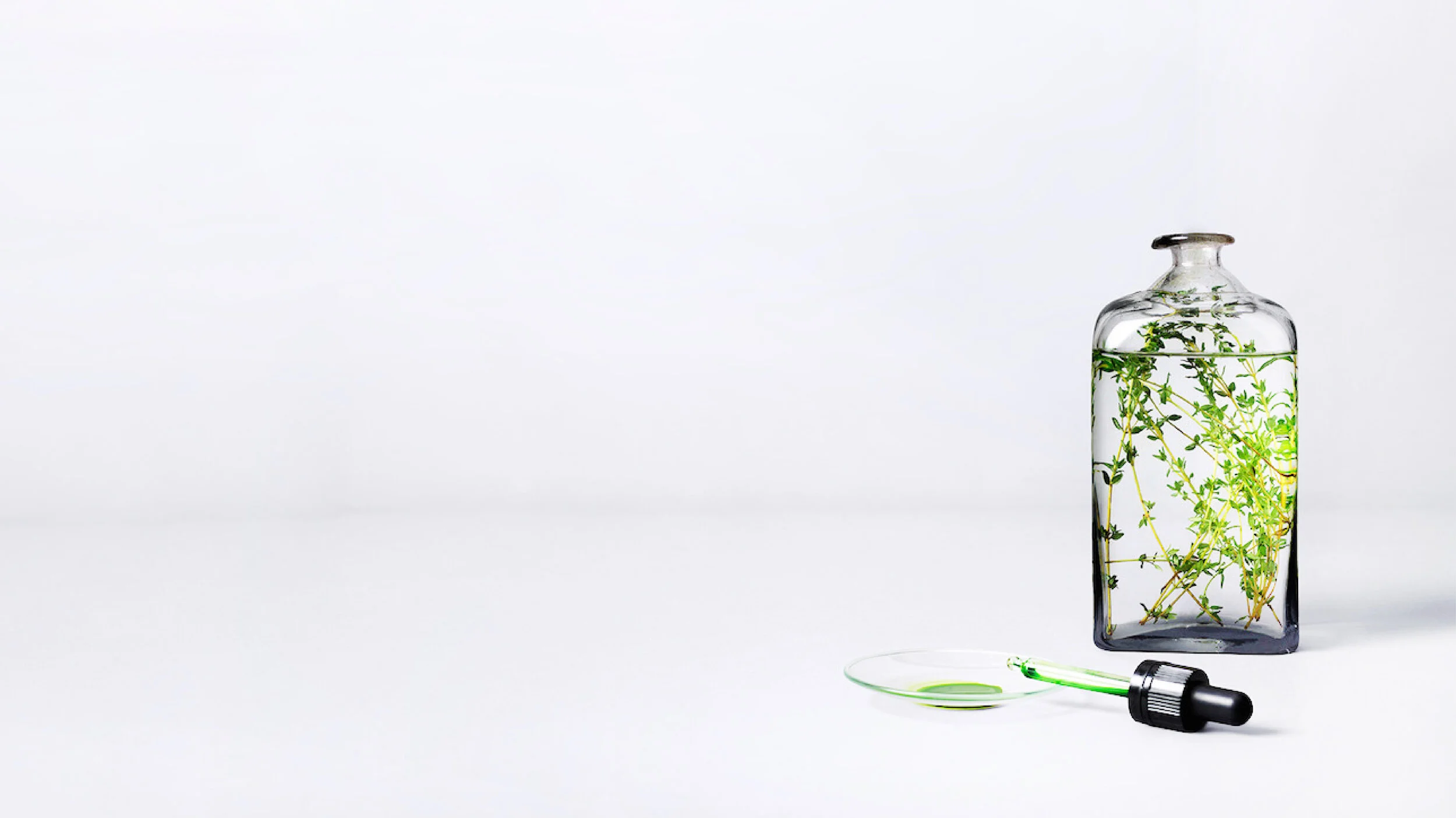thecampusco_imagery-02.jpg